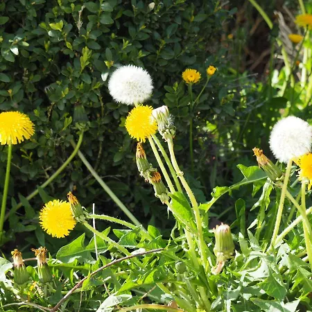 Vue Sur Гостевой дом Gindou