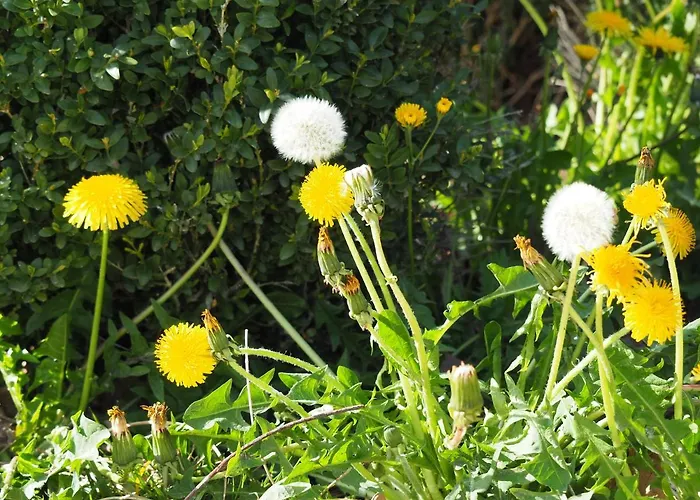 Vue Sur Pensión Gindou